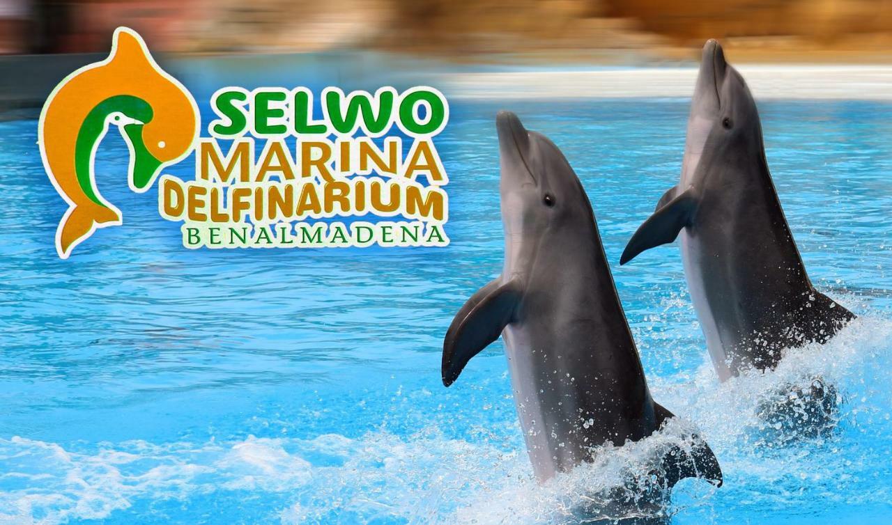 Apartamento Acuario Бенальмадена Екстер'єр фото
